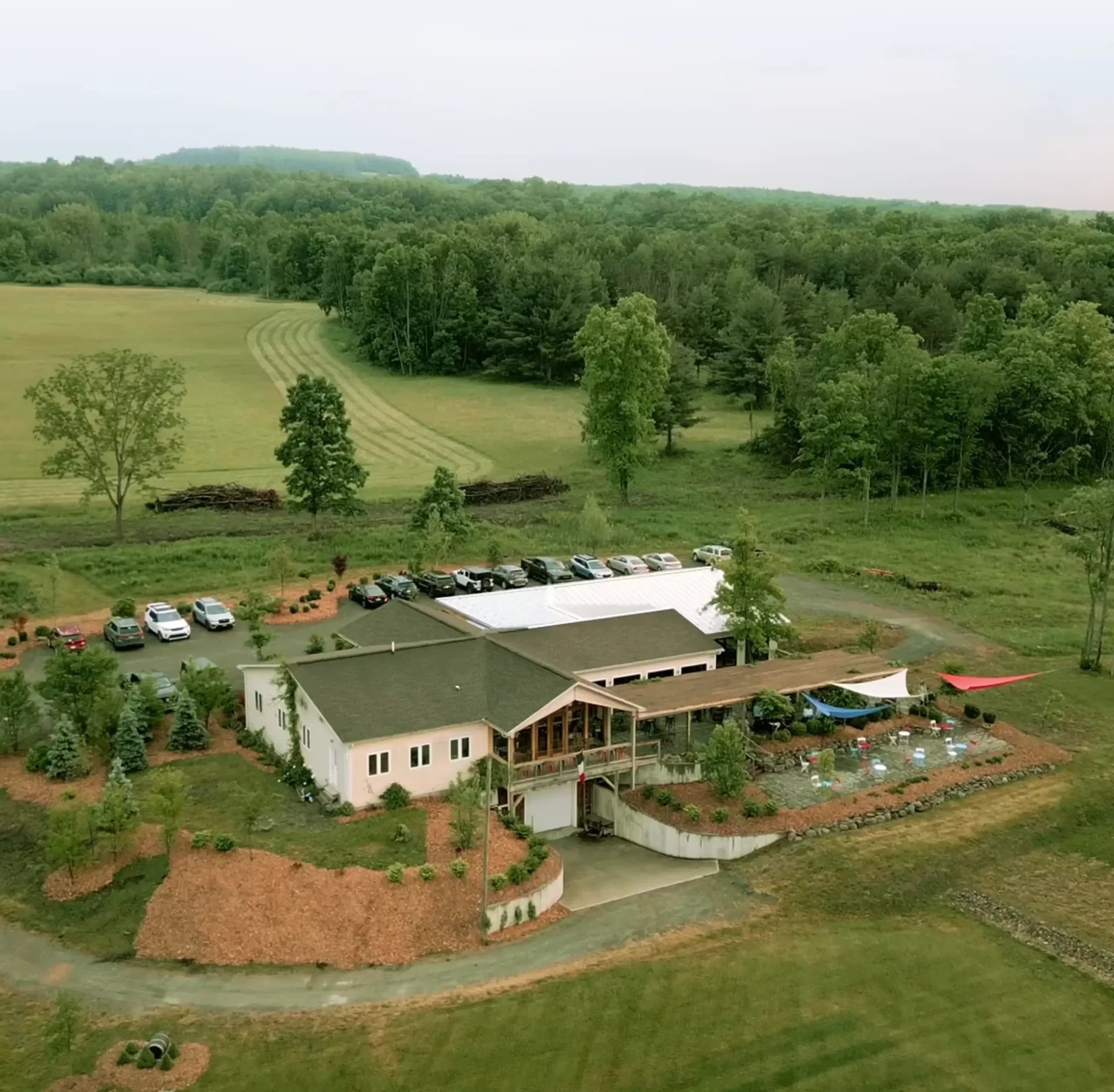 Vineyard overlooking Keuka Lake